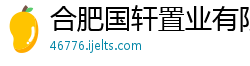 合肥国轩置业有限公司